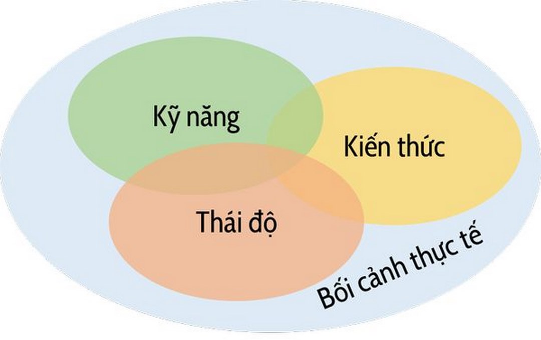 Tuỳ vào mục tiêu mà đánh giá năng lực sẽ đưa ra thông tin cần thiết