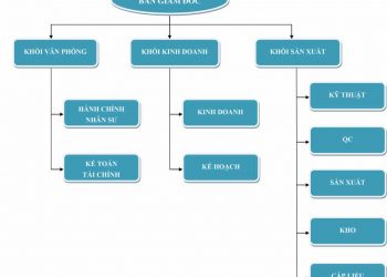 Sơ đồ tổ chức công ty là gì?