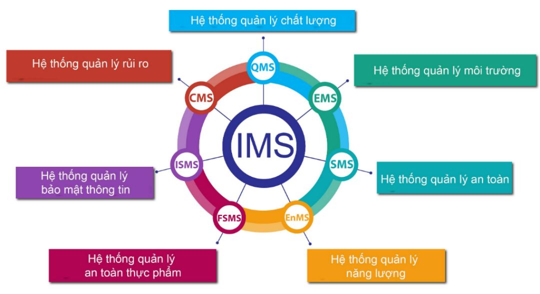 Tình hình áp dụng hệ thống quản lý của các công ty 