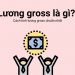Khái niệm về lương gross mà bạn cần biết