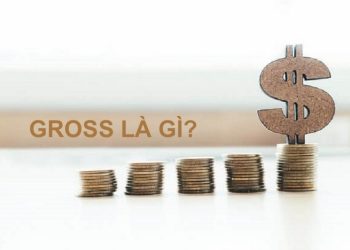 Tại Sao Bạn Nên Tính Lương Gross?