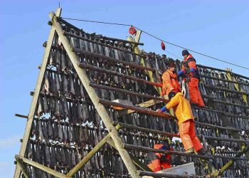 Bảo Hộ Lao Động là Quyền Lợi Của Người Lao Động?