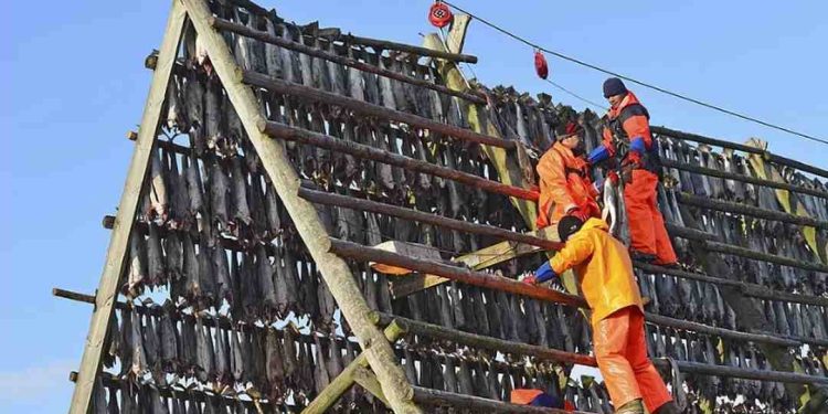 Bảo Hộ Lao Động là Quyền Lợi Của Người Lao Động?