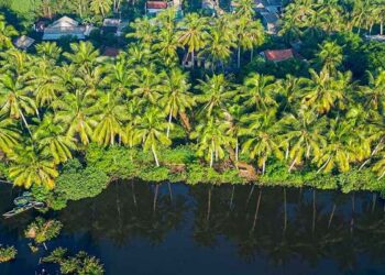 Du lịch Bến Tre có gì mà hấp dẫn du khách đến vậy?